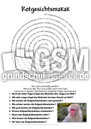 Rotgesichtsmakak.pdf